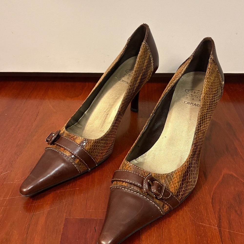 Joan & David Classic Brown Heels and Shoe Bag